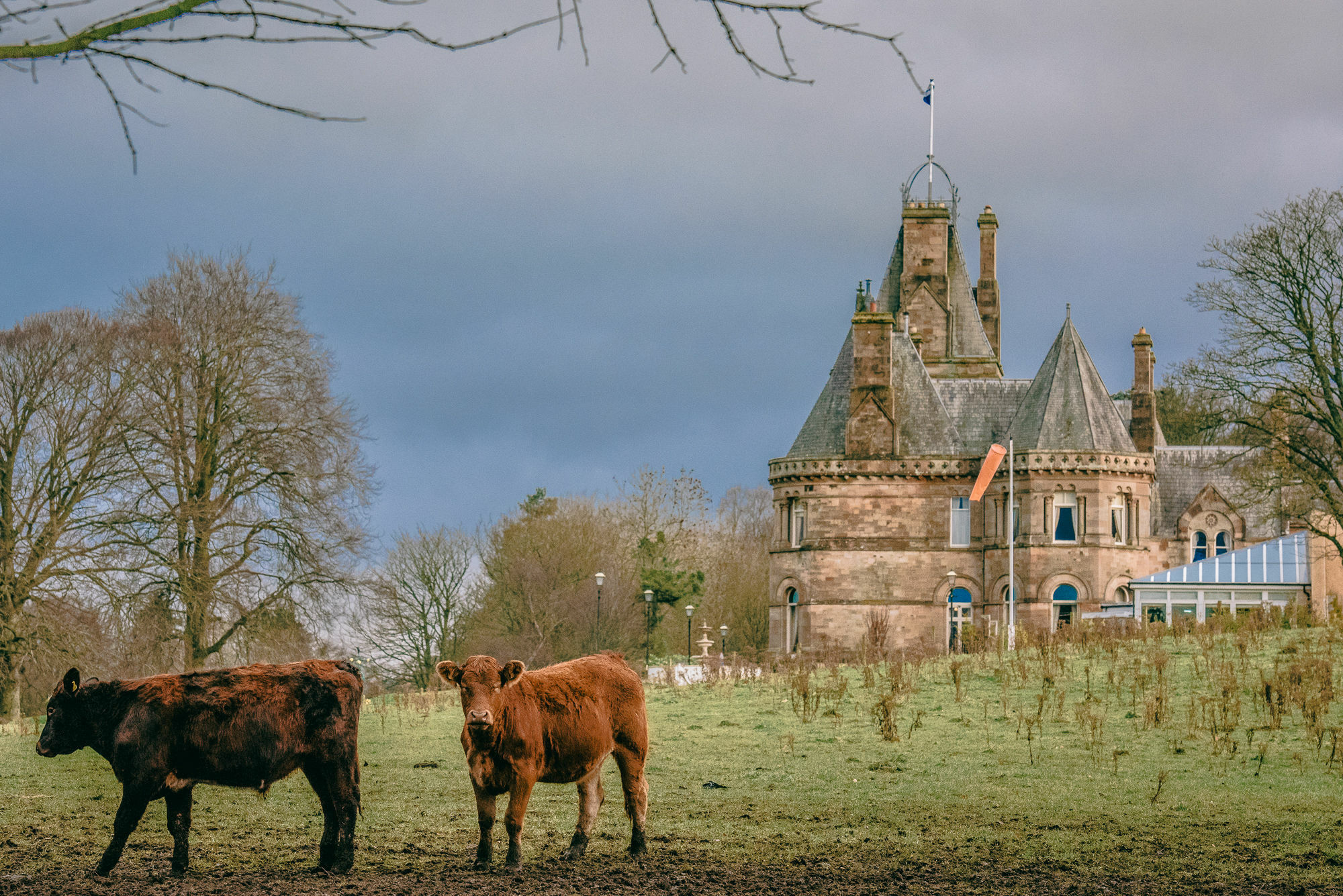 Cornhill Castle Hotel Biggar Εξωτερικό φωτογραφία